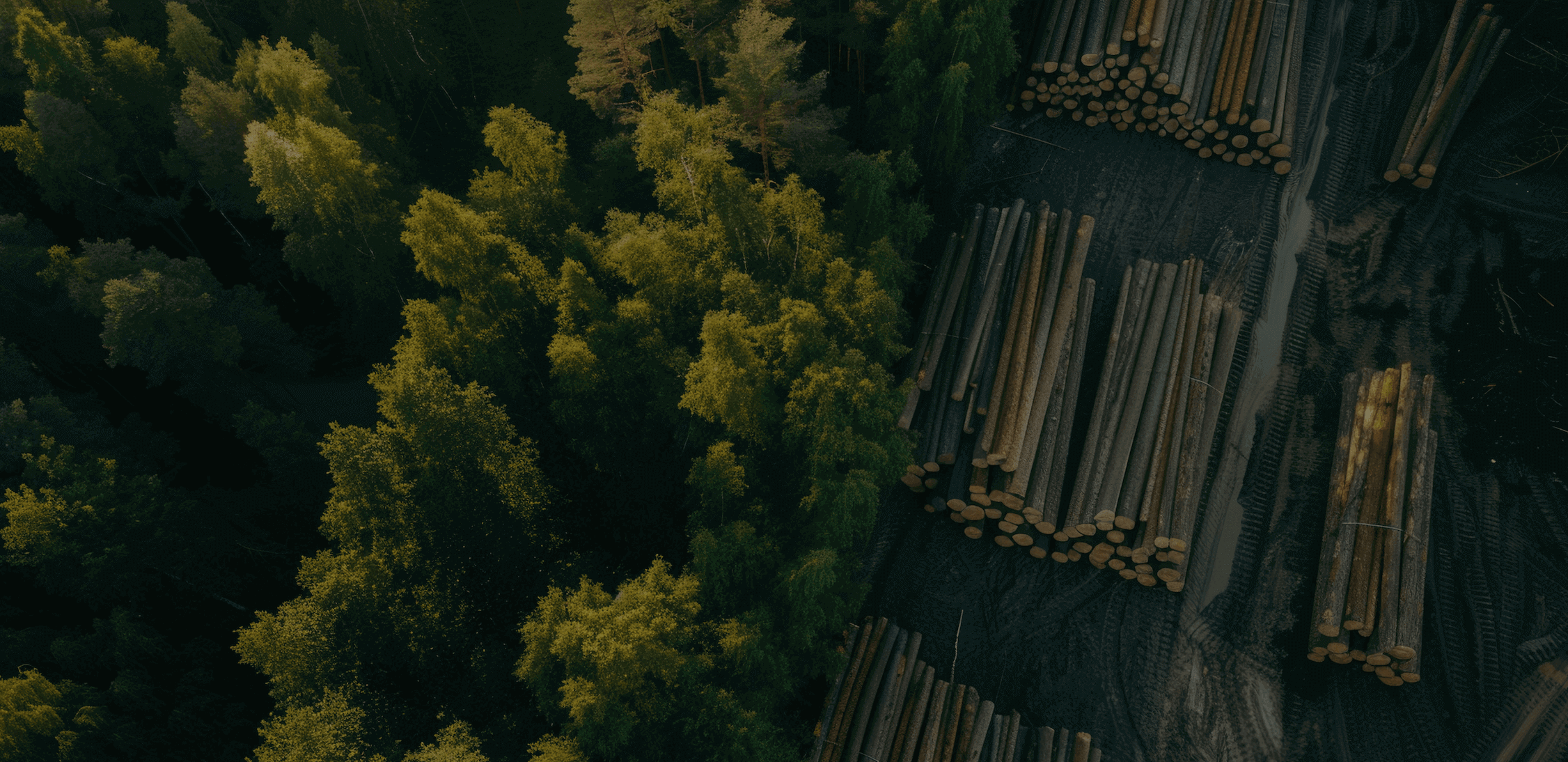 Zdjęcie 3, Palety drewiane, produkcja palet, palety przemysłowe, palety EUR/EPAL, palety niestandardowe, skrzynie paletowe, transport palet, suszenie palet, MAT-MIK, MAT-MIK SP.K., Grabów nad Prosną, Polska, Skrzynki, Kalisz, Ostrów Wielkopolski, Wrocław, Kraszewice, Czajków, Głuszyna,